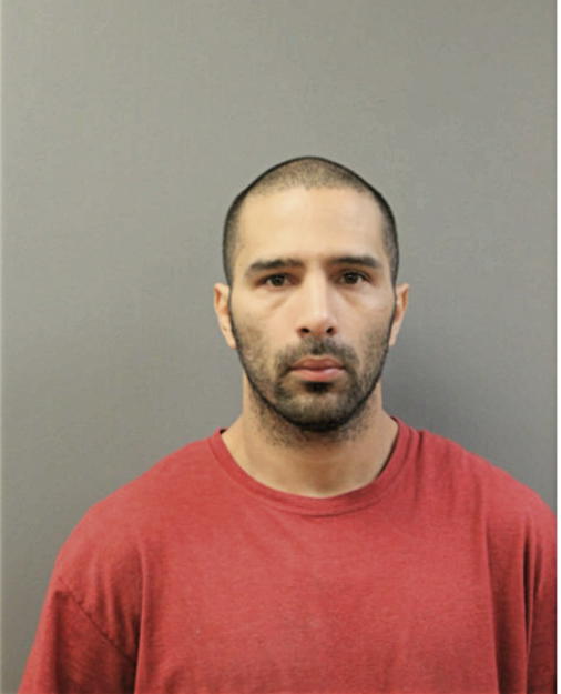 ANGEL L RIVERA, Cook County, Illinois