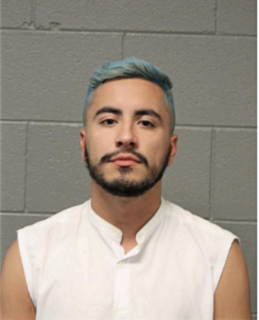 JULIO FERNANDO ROCHA, Cook County, Illinois