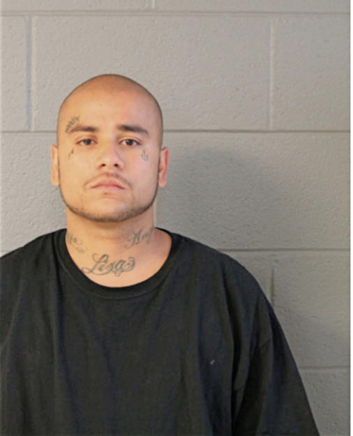 ANGEL J ROSARIO, Cook County, Illinois