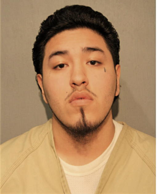 ALGER SANCHEZ, Cook County, Illinois