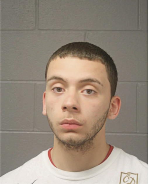 RAFAEL D SILVA, Cook County, Illinois