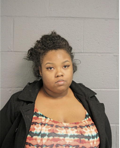 MIRANDA L STOUDEMIRE, Cook County, Illinois
