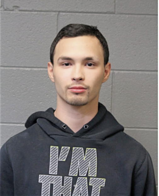 HENRY L VENEGAS, Cook County, Illinois