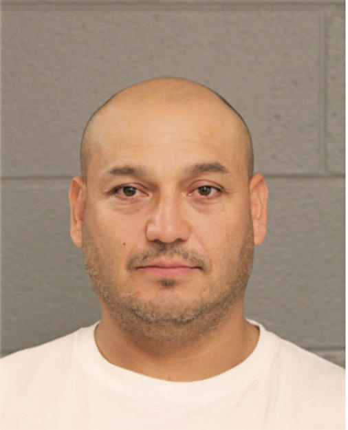 NICANOH VENEGAS, Cook County, Illinois