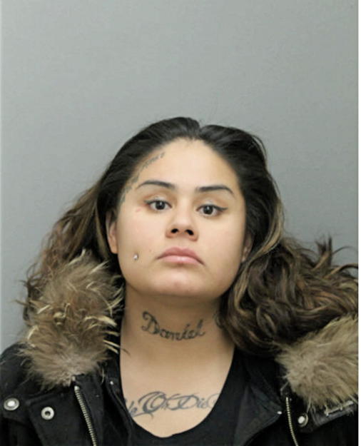 CARINA VILLEGAN-HUIZAR, Cook County, Illinois