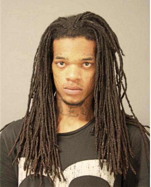 QEWANE R WATKINS, Cook County, Illinois