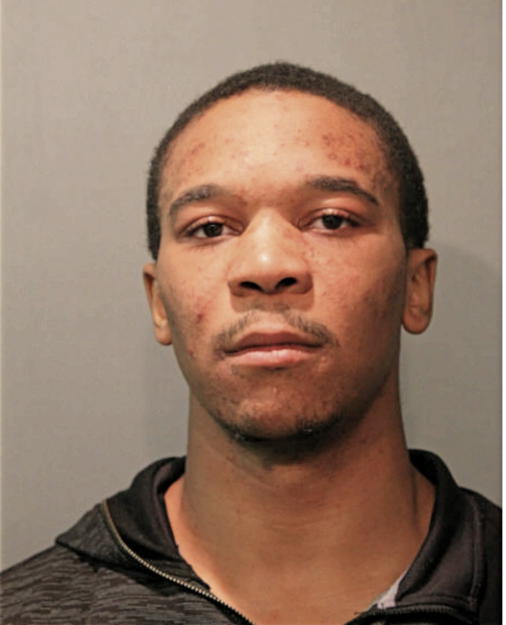 HAYES B WHITE, Cook County, Illinois