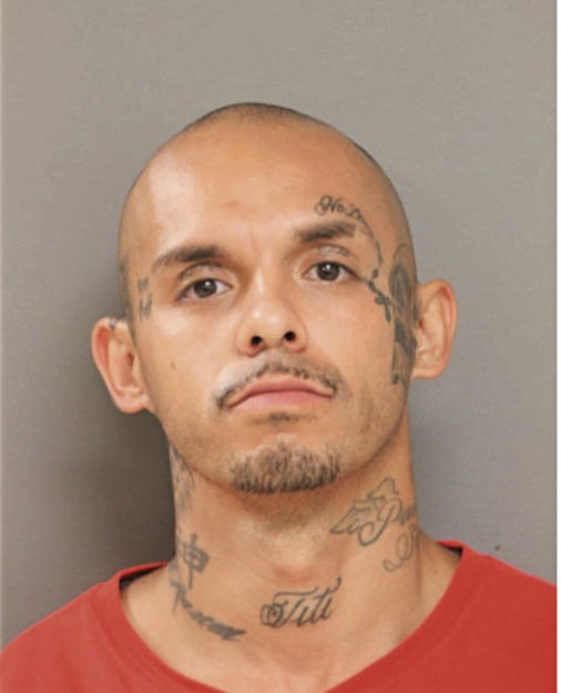 JORGE L ZARAGOZA, Cook County, Illinois