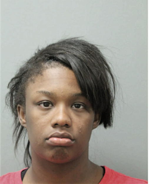 AALIYAH T ADAMS, Cook County, Illinois