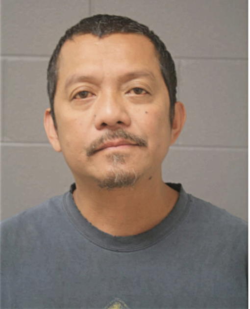 MAXWELL H ALHOYA, Cook County, Illinois