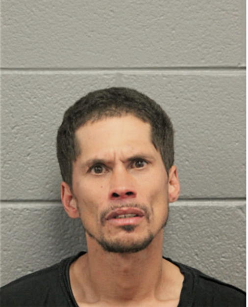 LUIS A BURMUDEZ, Cook County, Illinois