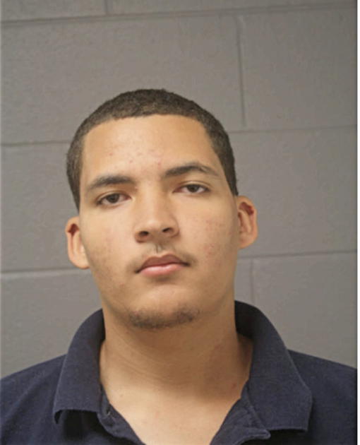 JULIAN C BRIM, Cook County, Illinois