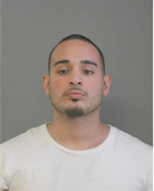 DANIEL A CAGUANA, Cook County, Illinois