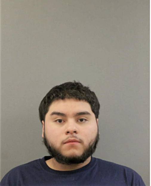 ALEXANDER CASTANEDA, Cook County, Illinois