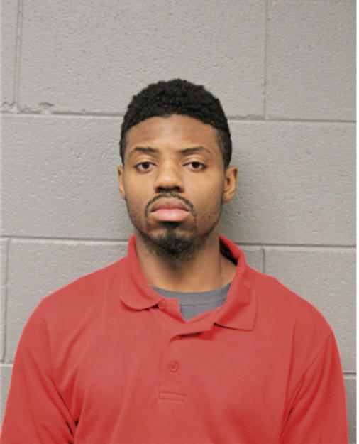 MICHAEL L CHATMAN, Cook County, Illinois