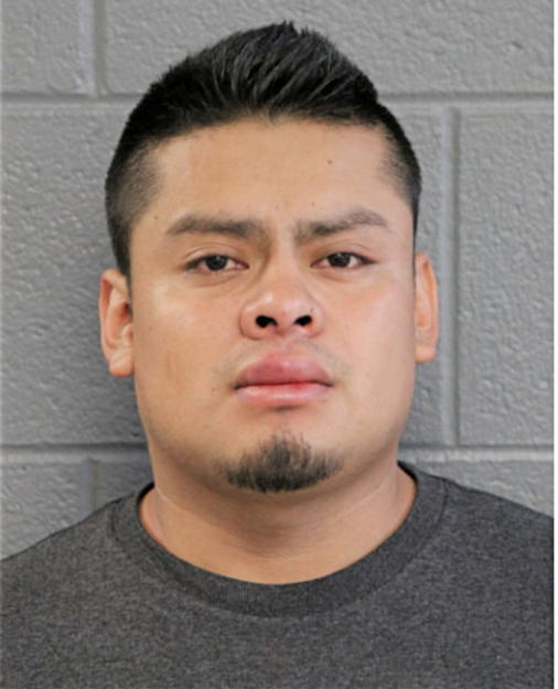 LUIS E E MORALES JIMENEZ, Cook County, Illinois