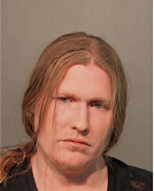 DAVID FON, Cook County, Illinois