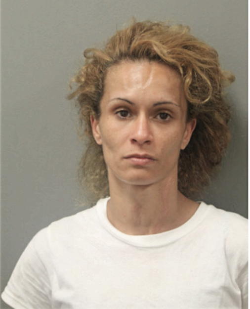 RENE M GARCIA, Cook County, Illinois