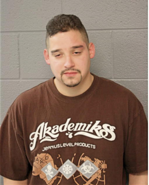 HUGO GUZMAN, Cook County, Illinois