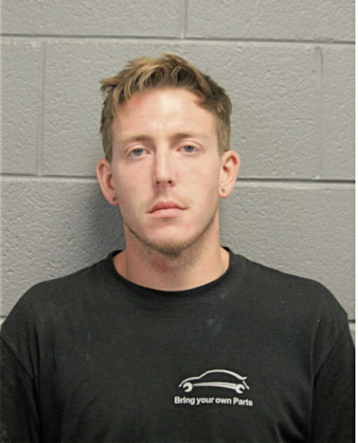 MICHAEL W HANEY, Cook County, Illinois