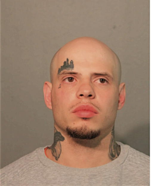 WILLIAM E HERNANDEZ, Cook County, Illinois