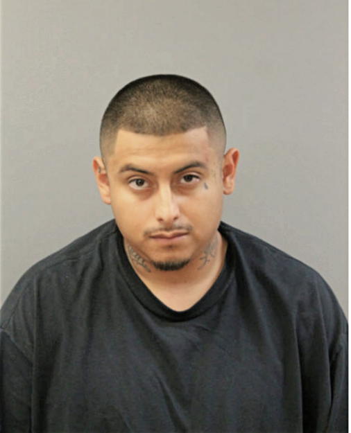 IRVING N HURTADO, Cook County, Illinois