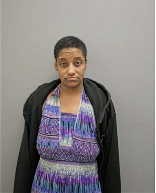 NICOLE V JOHNSON, Cook County, Illinois