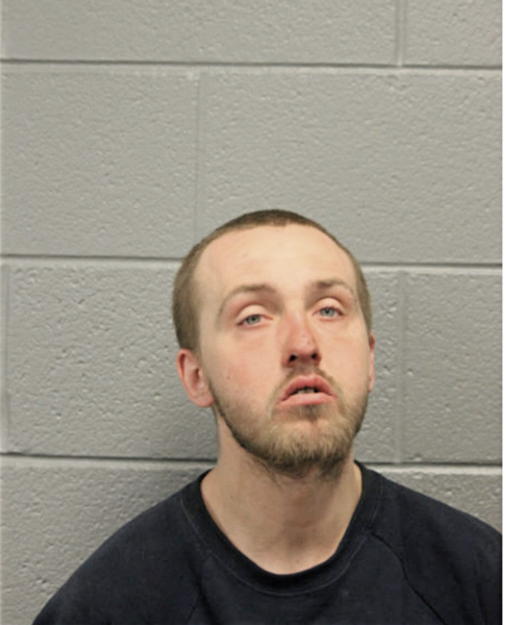 STEVEN A LEESON, Cook County, Illinois