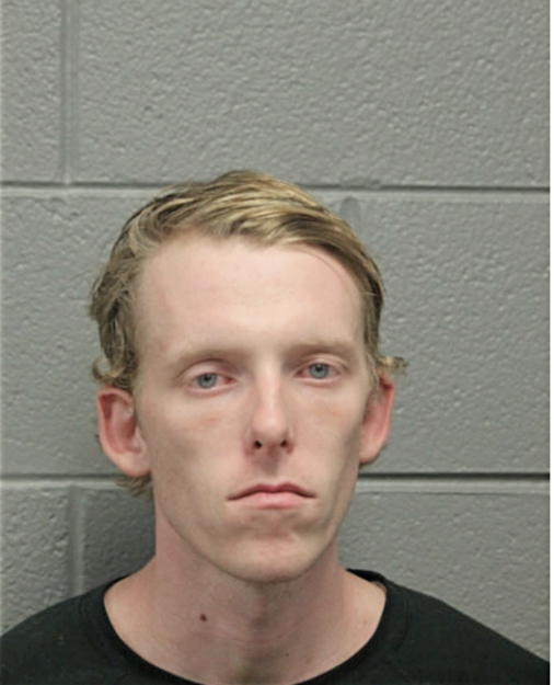 NICHOLAS S LUSSON, Cook County, Illinois