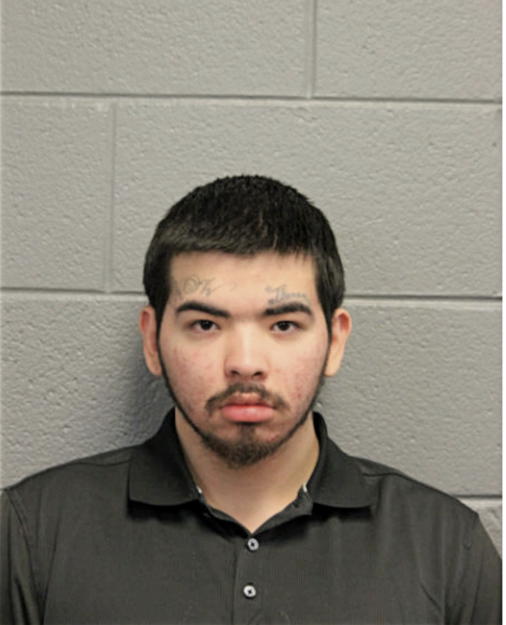 LUIS G MONTANO, Cook County, Illinois