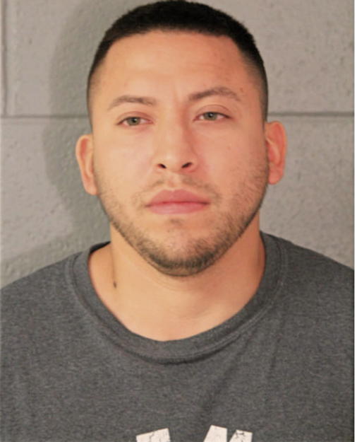 ENRIGUE I MUNOZ, Cook County, Illinois