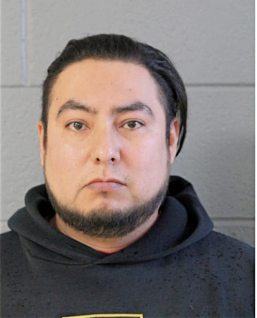 IRINEO OCHOA, Cook County, Illinois