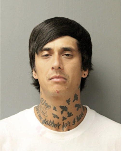 CHARLES K PAWLOWSKI, Cook County, Illinois