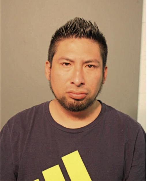 FREDY A REYES, Cook County, Illinois