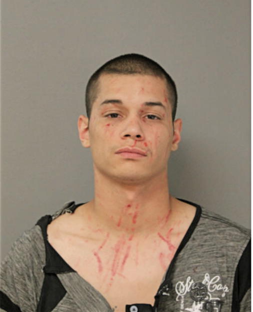 ISRAEL W RODRIGUEZ, Cook County, Illinois