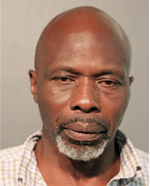 STEVEN T ROSS, Cook County, Illinois