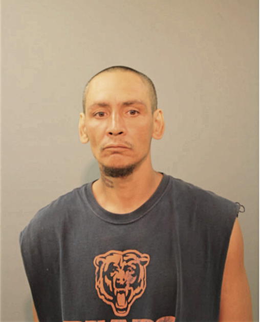 ELVIS SILVA, Cook County, Illinois