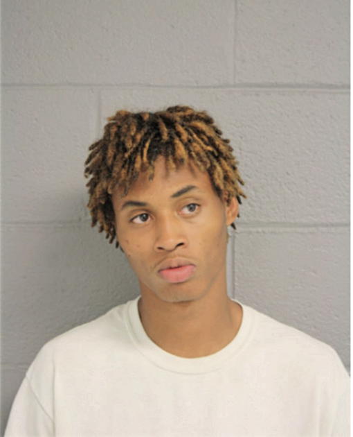 CRAIG G SYLVESTER, Cook County, Illinois