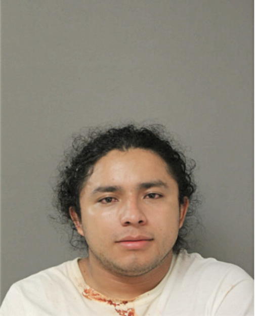 JOSE A TORRES, Cook County, Illinois