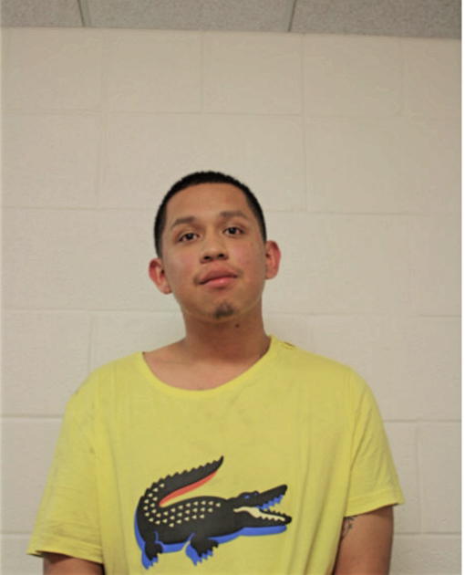 BERTIN VENCES, Cook County, Illinois
