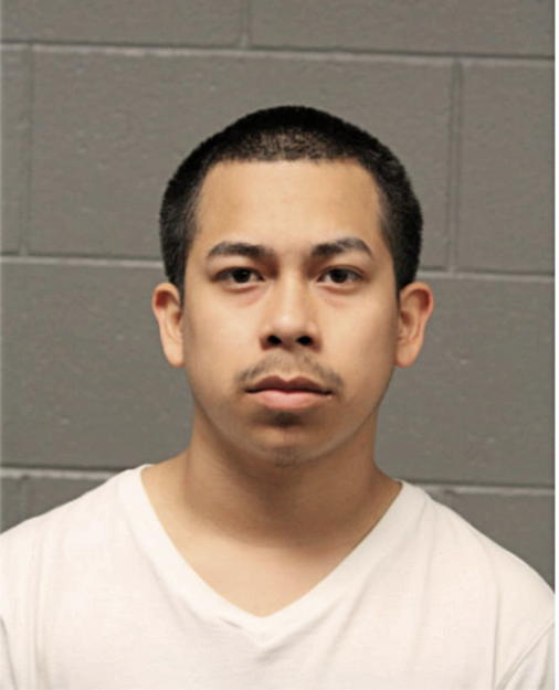 RAFAEL ALCANTARA, Cook County, Illinois