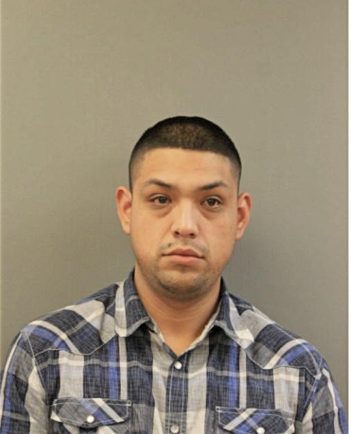 JUAN C ALEJANDRE, Cook County, Illinois