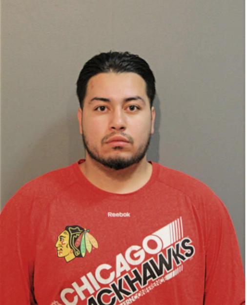 OCTAVIO L AYALA, Cook County, Illinois