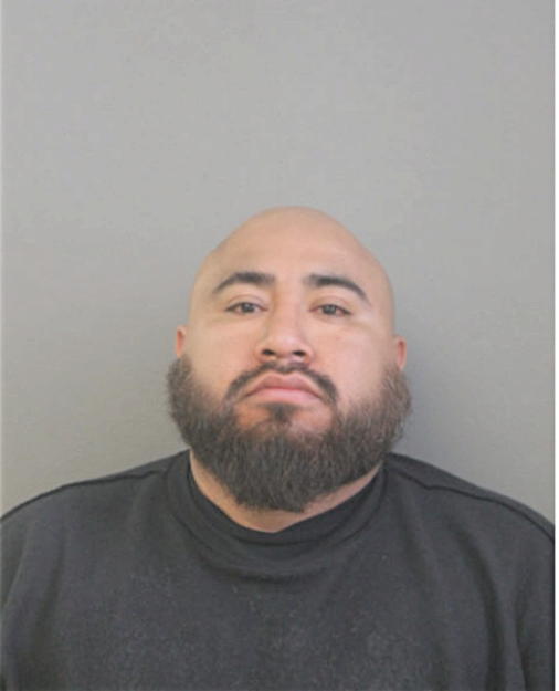 CARLOS M CASTELLANOS-CRUZ, Cook County, Illinois