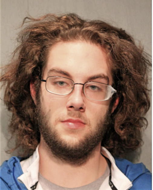 NICHOLAS B COBB, Cook County, Illinois