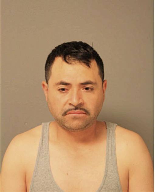 GABRIEL DOMINGUEZ, Cook County, Illinois