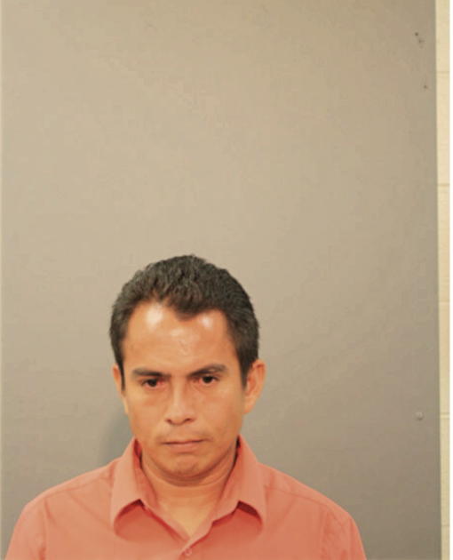 LUIS FERNANDO GARCIA-ORELLANA, Cook County, Illinois