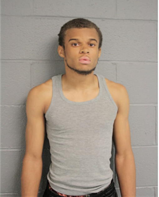 CHRISTOPHER X GREER, Cook County, Illinois