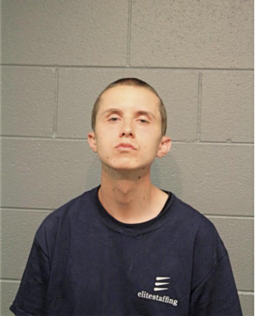 MICHAEL E GRIMM, Cook County, Illinois
