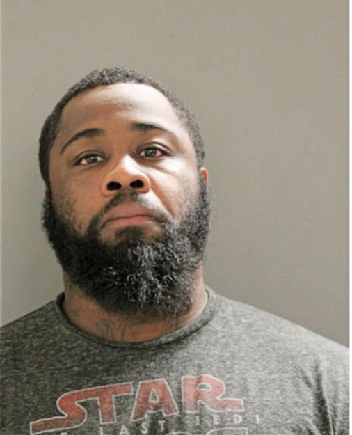 MATTHEW B HUDSON, Cook County, Illinois